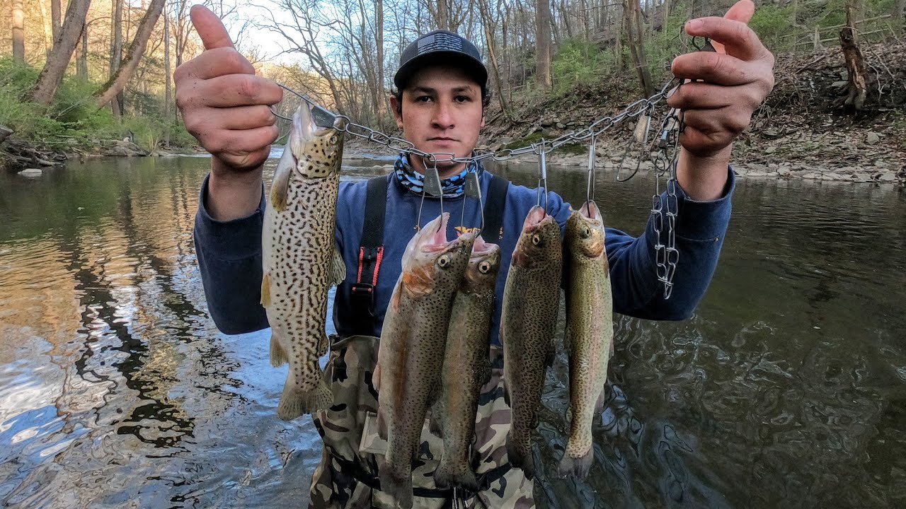 increíble día pescando truchas (mi mejor señuelo para la pesca de trucha)