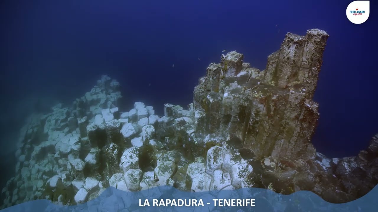 La Rapadura, Tenerife - Guía Submarina de Fred. Olsen Express