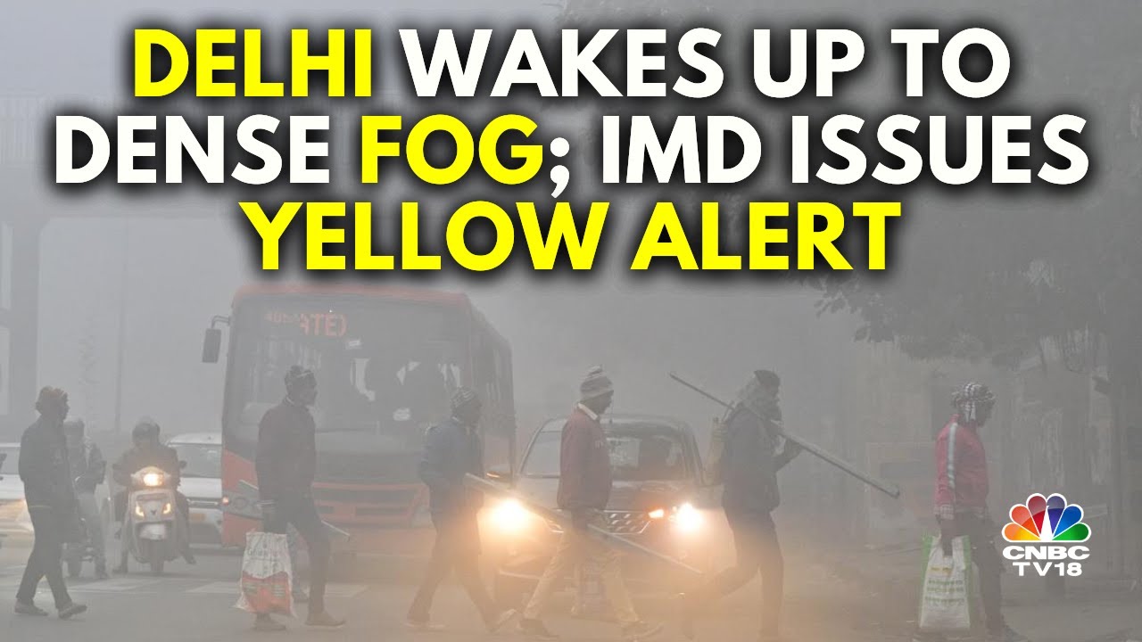 Delhi: Rain Lashes Parts Of National Capital Amid Dense Fog And Winter Chills | Delhi Weather | N18V