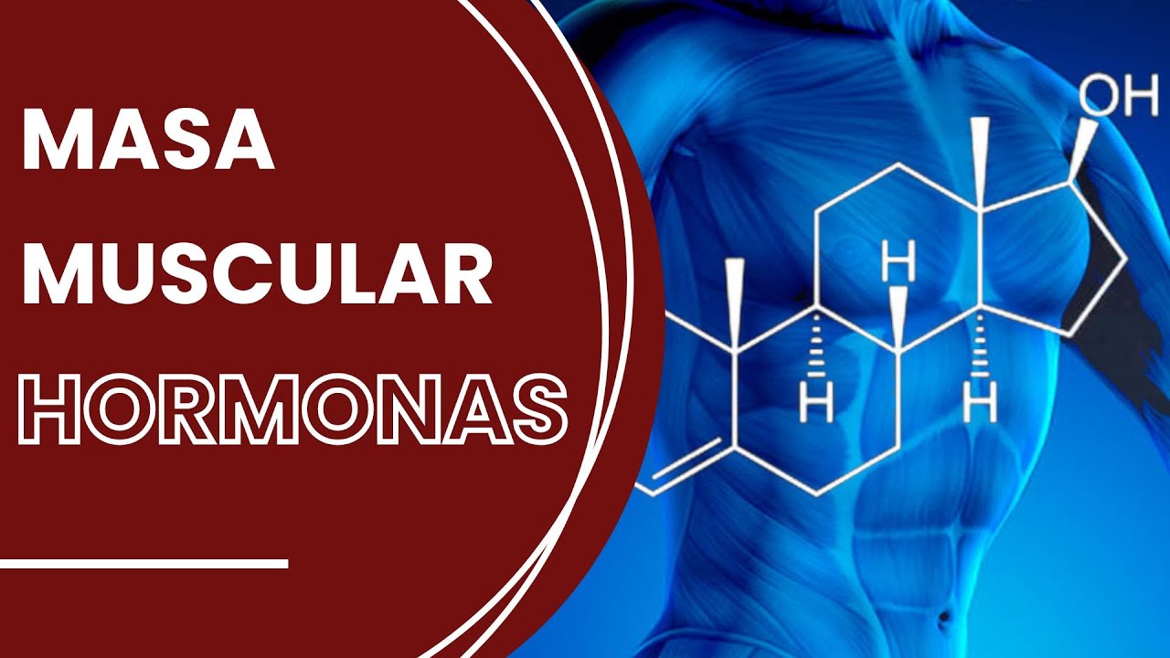 ¿Cómo AFECTAN las HORMONAS a la MASA MUSCULAR? 💪🏼 - Dra. Susana Benito
