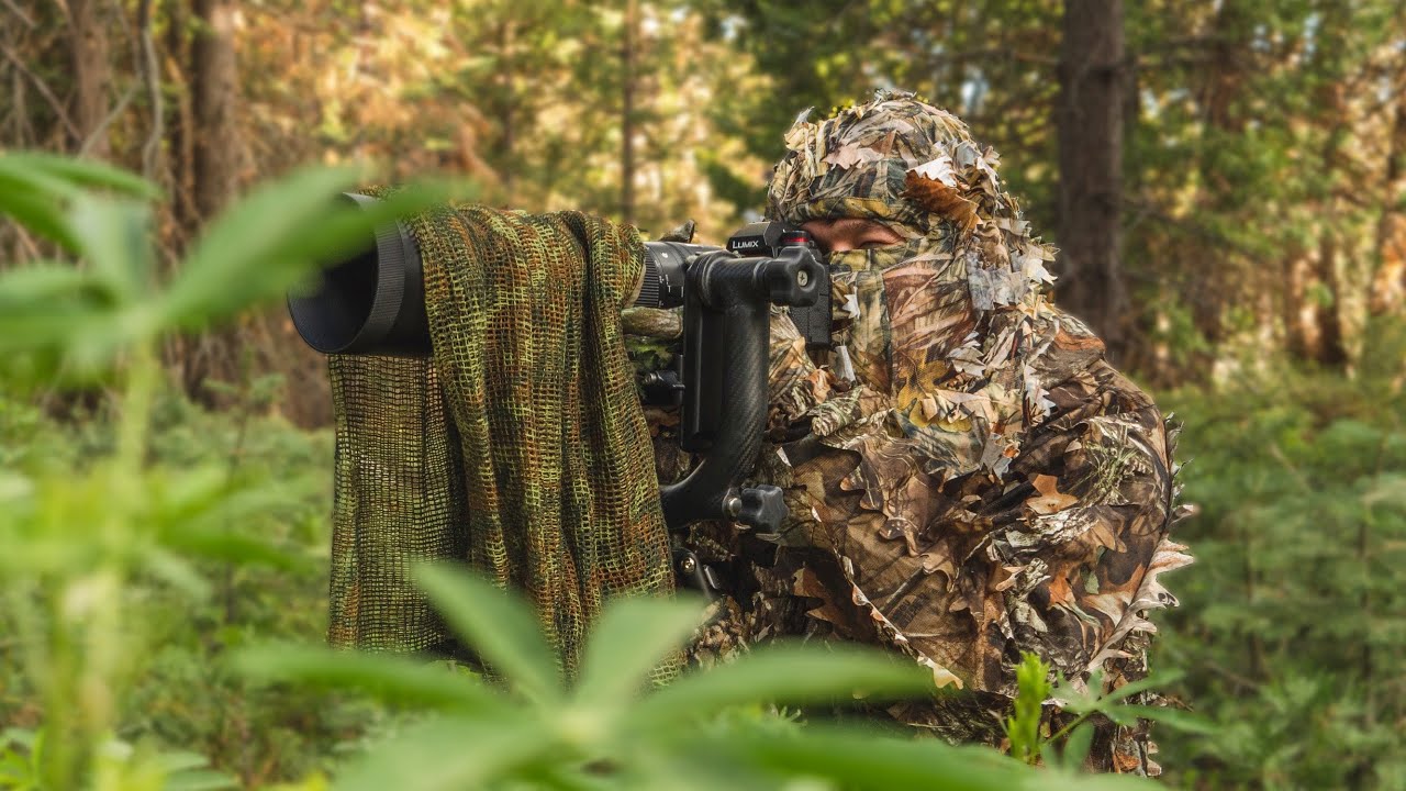 A Hidden Nest Amongst the Forest | Wildlife Photography Adventure