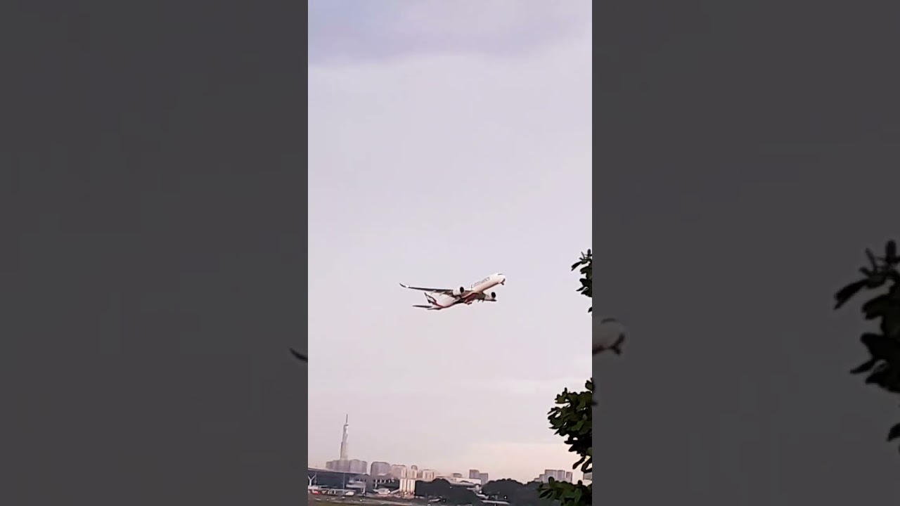 A320 scoot landing A350 Emirates take off. #music #landing #takeoff #tansonnhat