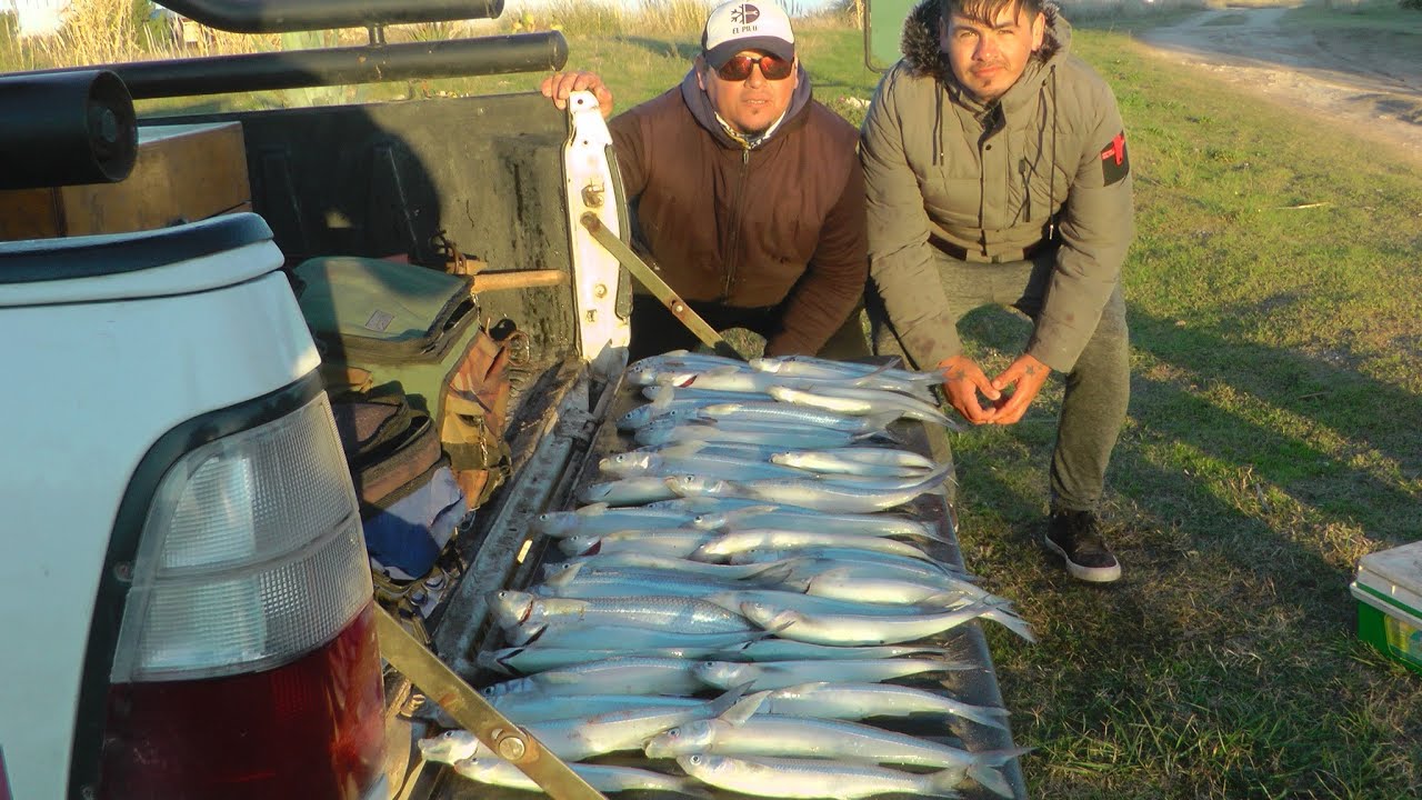 DONDE ESTAN LOS PEJERREYES? PASION POR LA PESCA