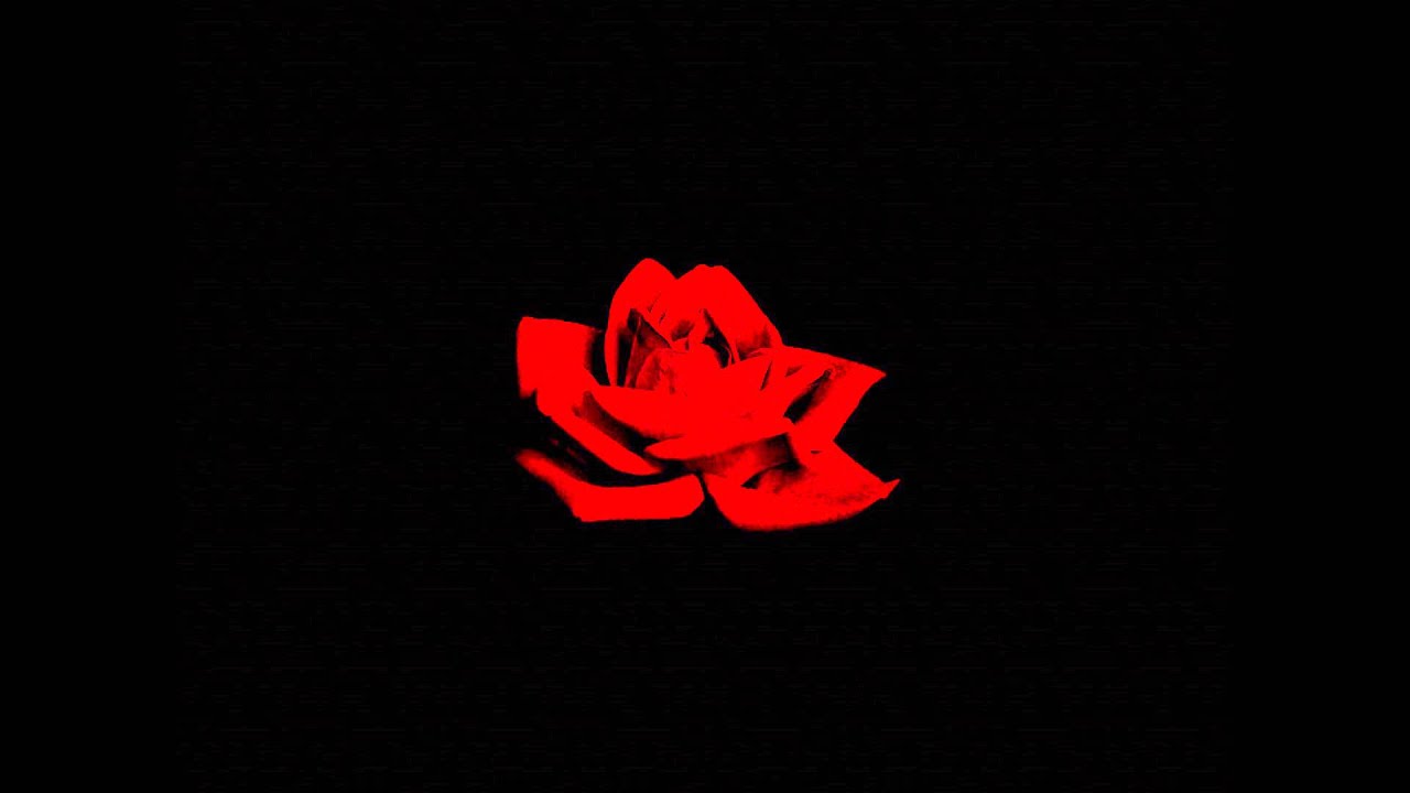 SaneBeats - Curses