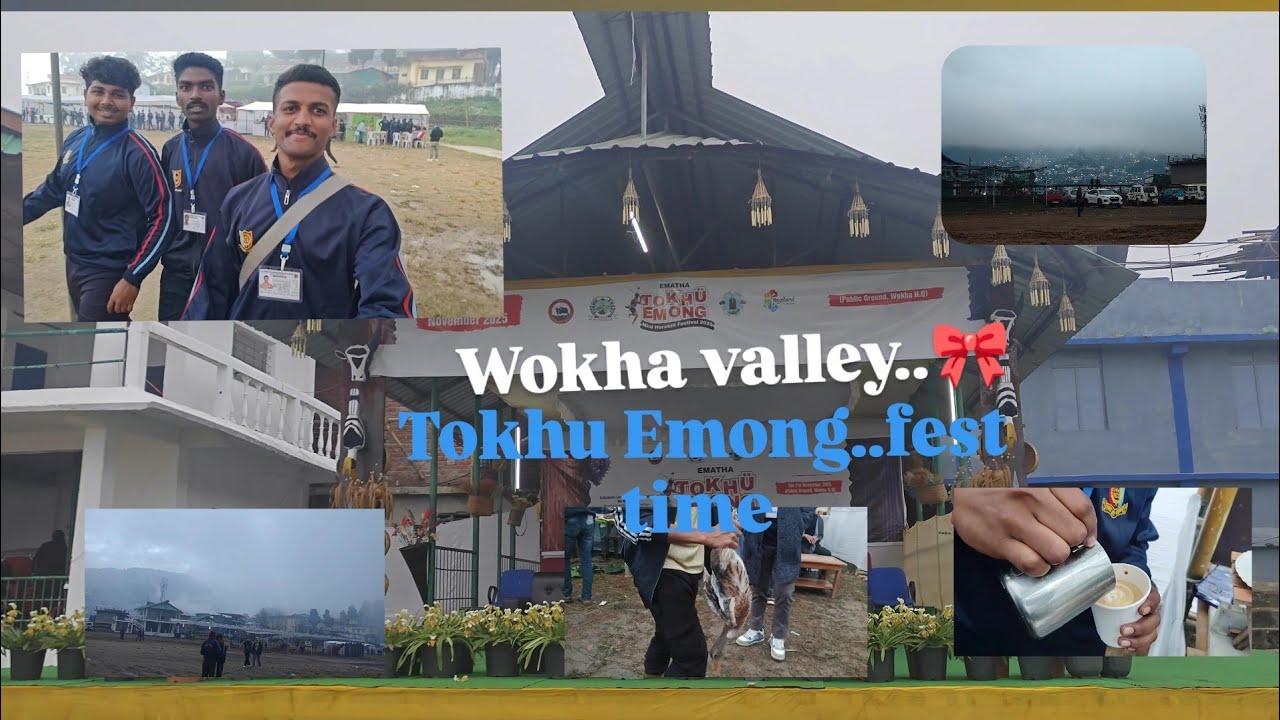 Nagaland wokha Tokhu Emong fest🍁🎀#youtube #trending#video#different#funny#traditional#food#trecking#