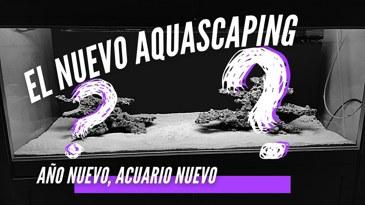 📌📌El Nuevo Aquascaping DENTRO del Acuario Marino 💪💪😍😍 roca Aquaforest