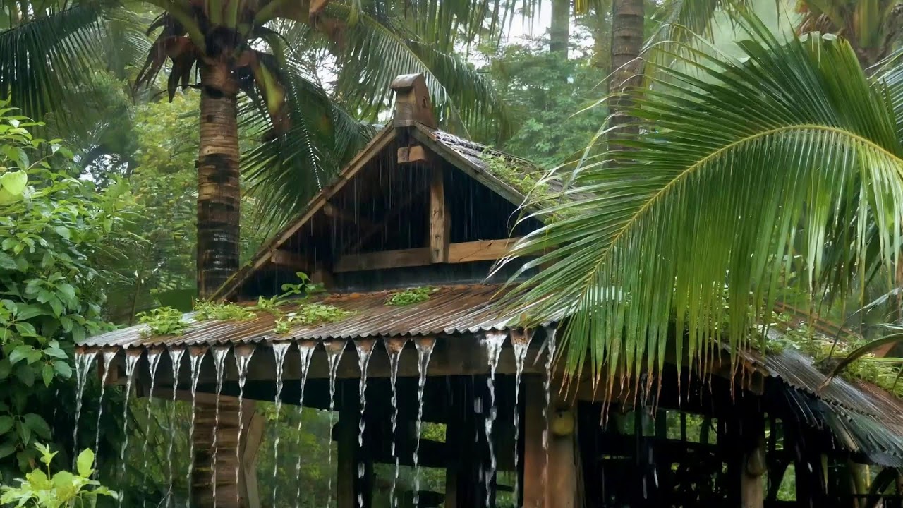 Rainstorm at Midnight | Heavy Rain & Thunder to Help You Sleep Instantly 🌨