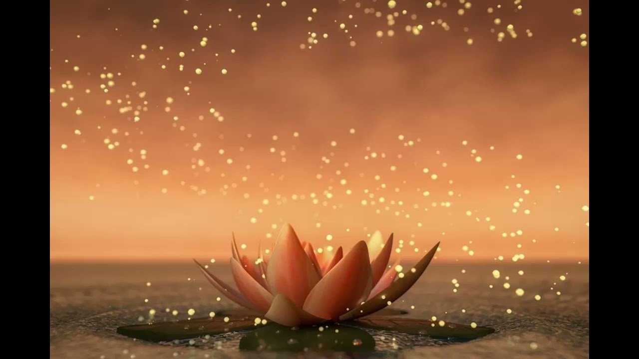 Ki Meditatie