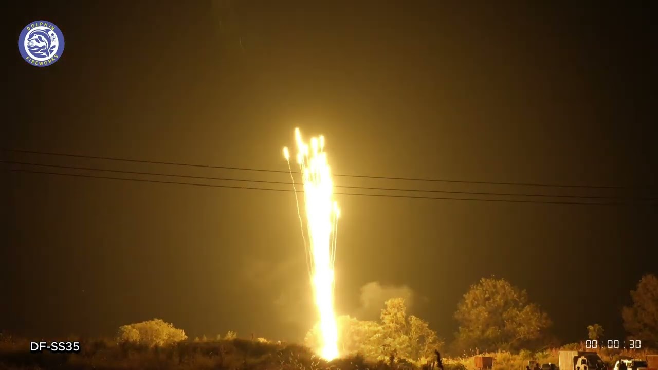 2'' SINGLE SHOT | DFSS35