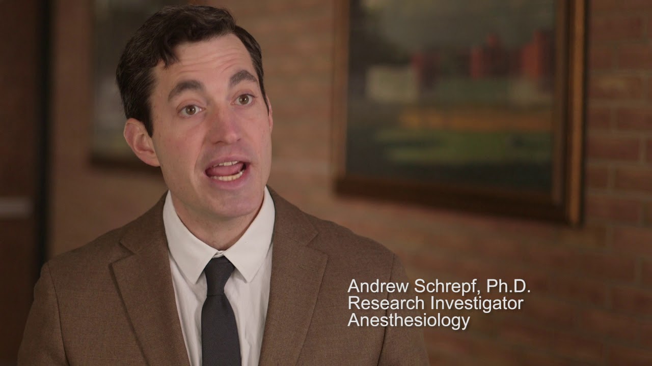 Centralized Pain: Chronic Pain and Fatigue Research Center