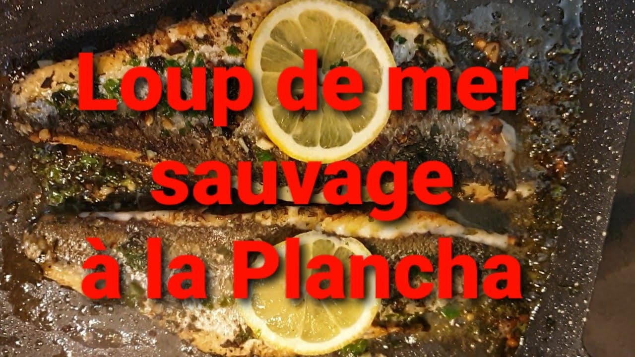 Le Loup de mer pêché, en filet et à la planchà