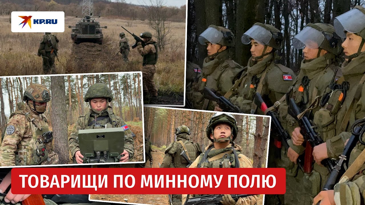 Сапёры КНДР помогают разминировать Курскую область