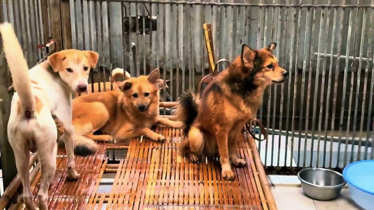 10 đứa nhỏ trở thành anh em khi về trạm hhđ 