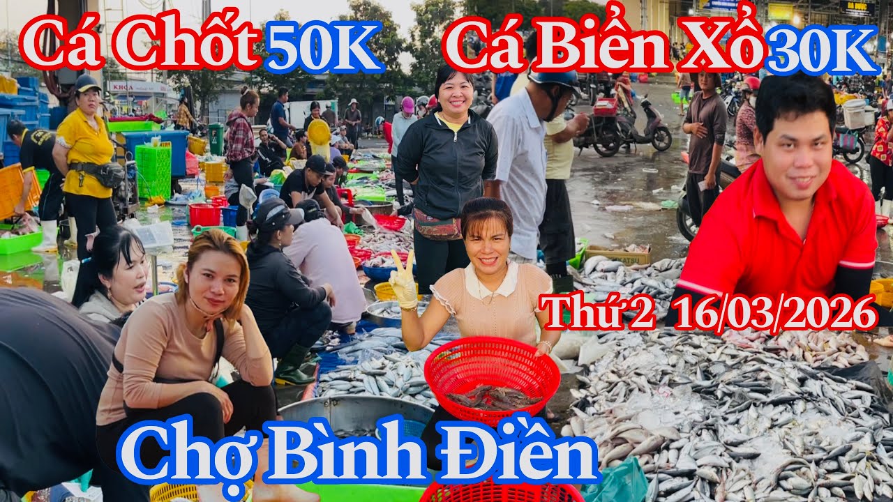 Chợ Bình Điền Sáng Thứ 2 - Cá Biển Xổ 30K, Cá Chốt 50K, Cá Lăng 60K, Ghẹ 100K | 16/03/2026 