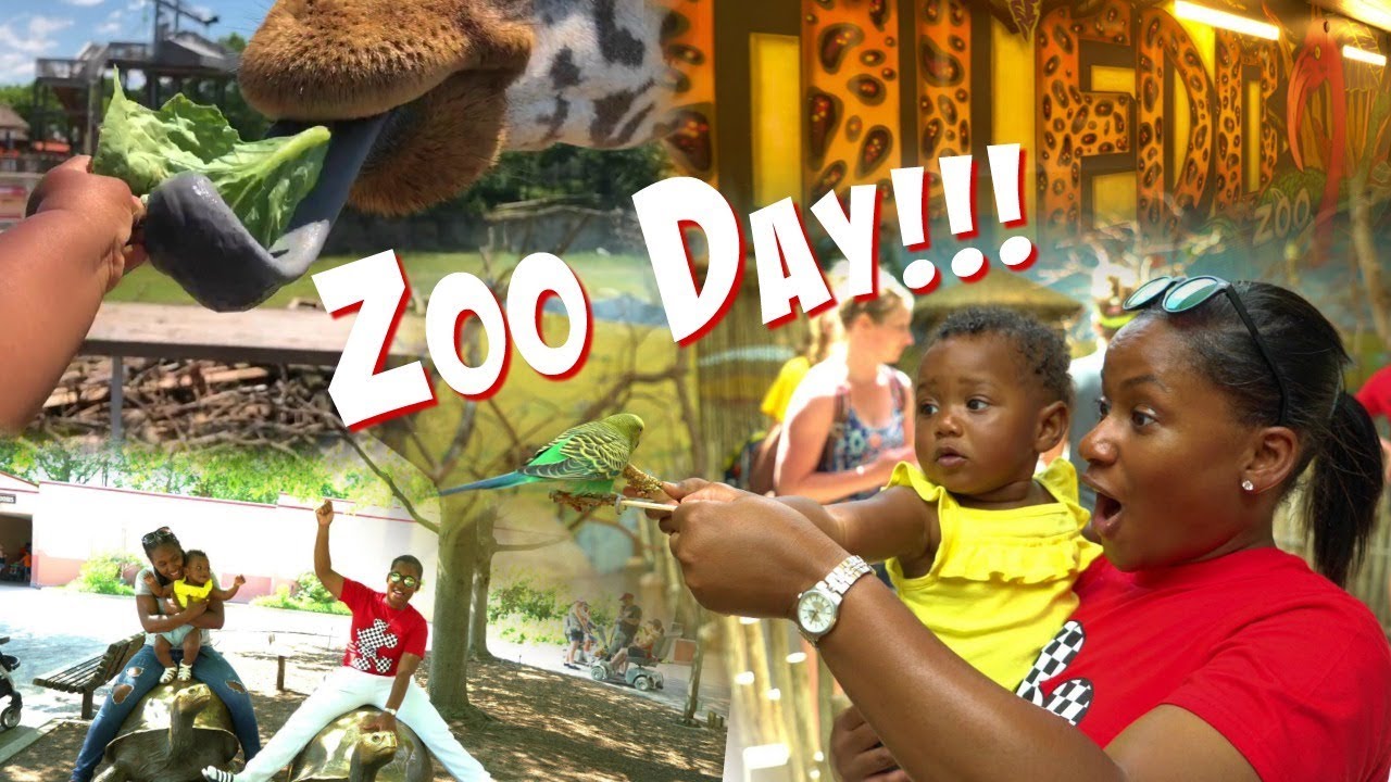 Zoo Day with a ONE YEAR OLD!!!