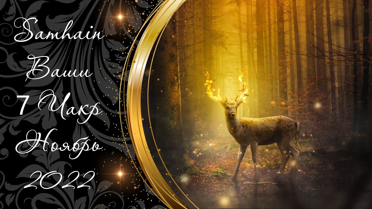 10.11.22 🌿🌕🌿 Samhain 🍀 ОТВЕТНЫЙ УДАР КАРМЫ