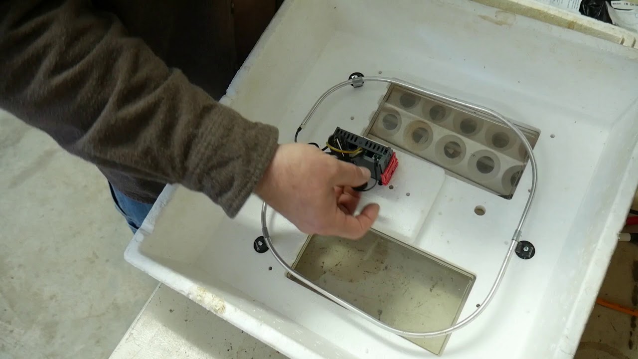 Upgrading Little Giant Incubator to Digital Thermostat