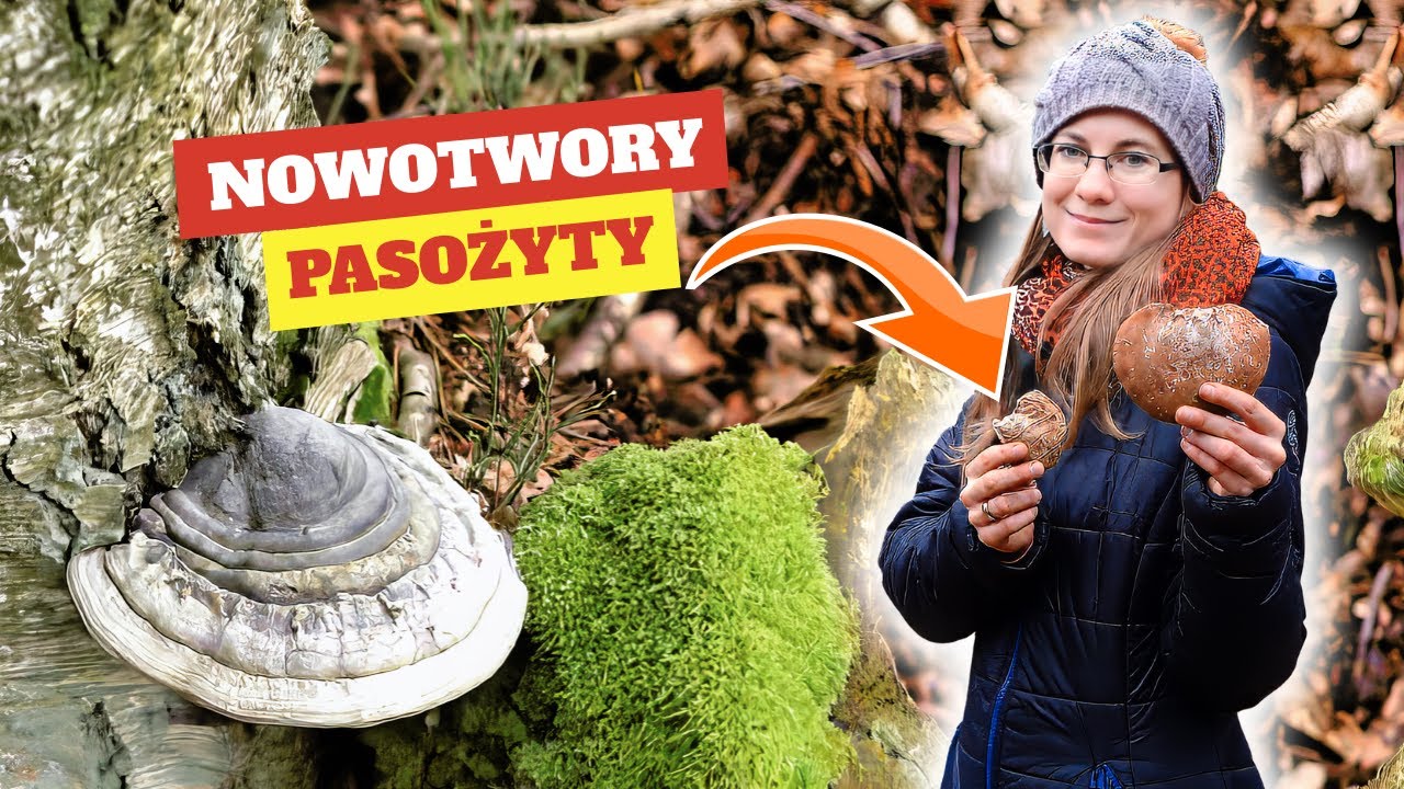 Niezastąpiony Przy Pasożytach i Nowotworach