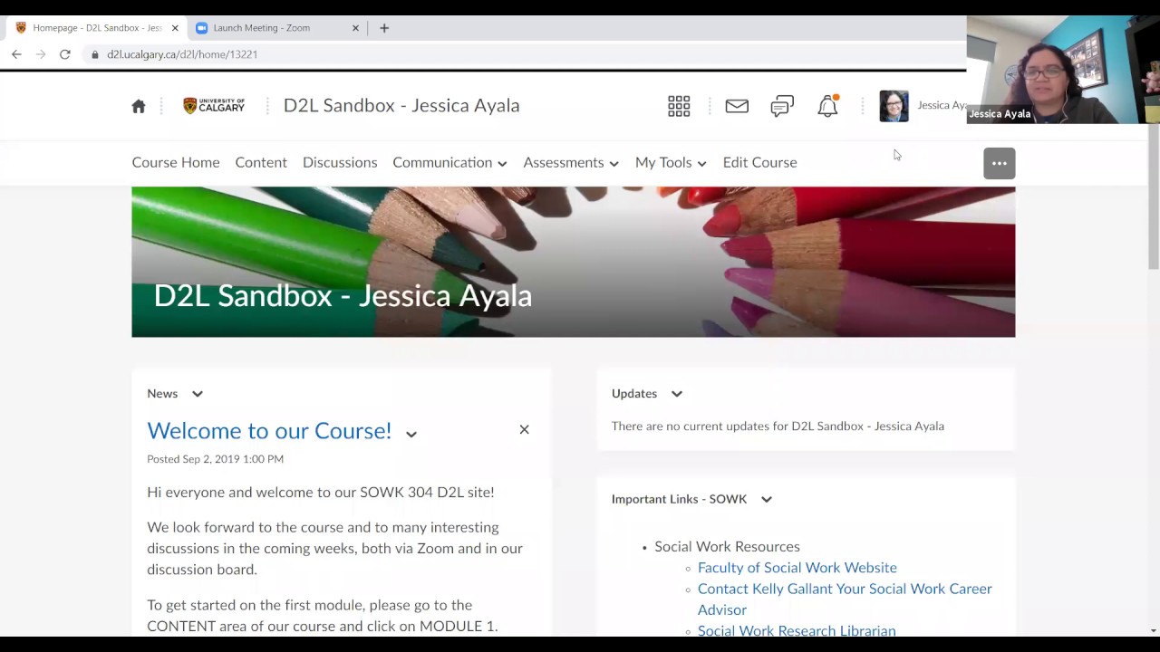 D2L Sandbox