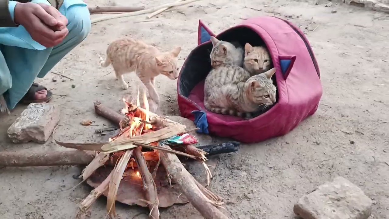 Four  best friend 