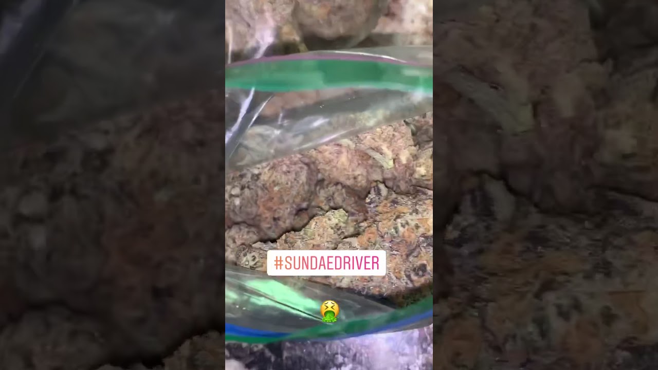 Sundae driver strain 18 and up