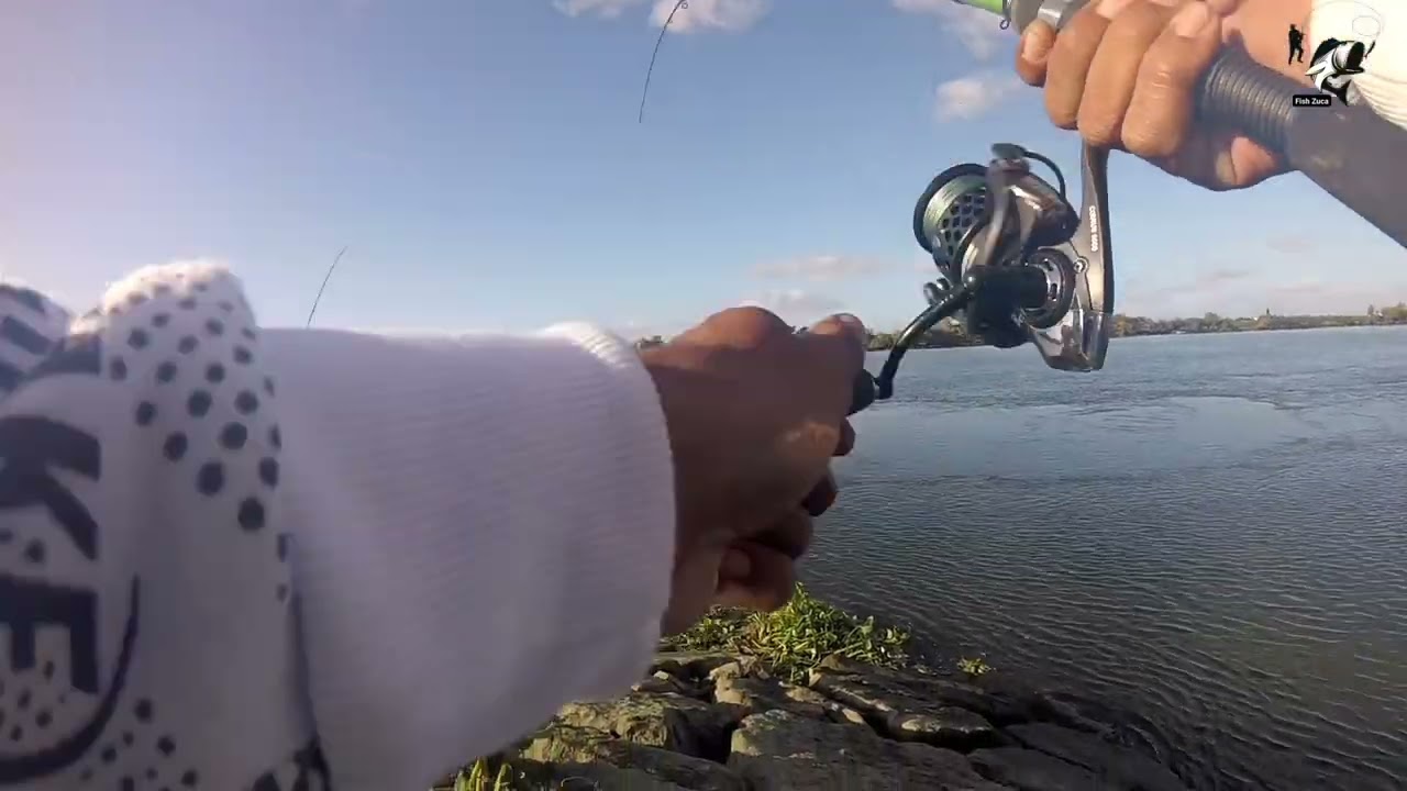 Pesca aos barbos ao fundo.