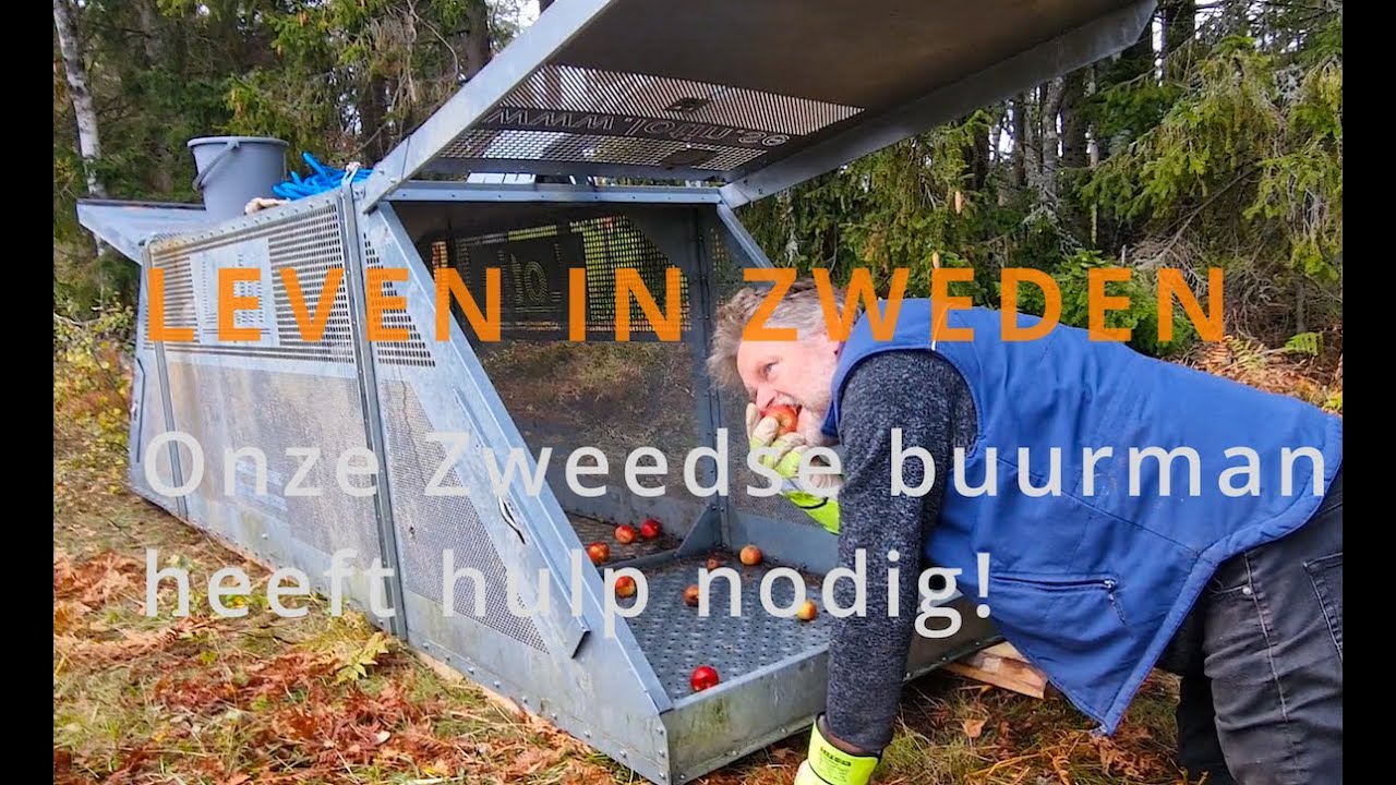 LEVEN IN ZWEDEN Onze Zweedse buurman heeft hulp nodig!