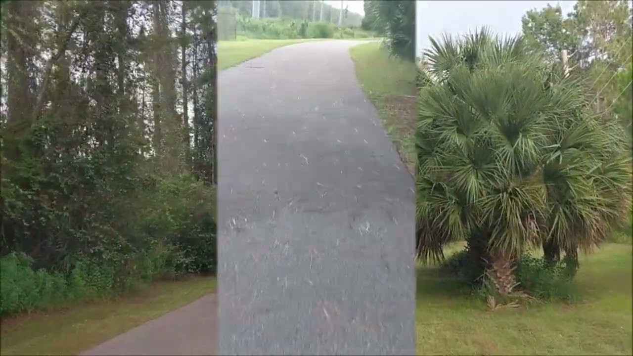 Lehigh Greenway Rail Trail in Palm Coast FL - Trail Review