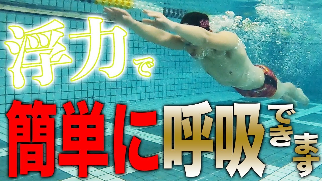 【バタフライ】まだ呼吸に悩んでるの？この動画で即解決します。 #163
