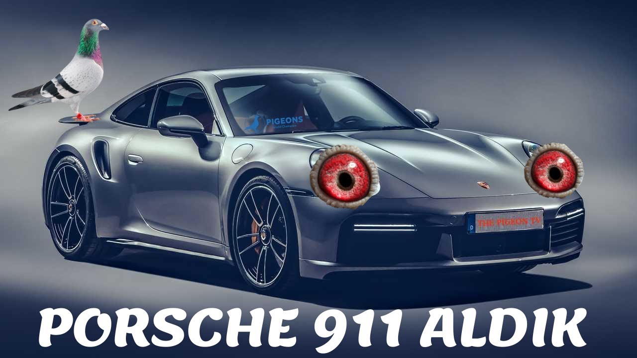 Porsche 911 Satın Aldık Şimdi Yarışlara Katılma Zamanı