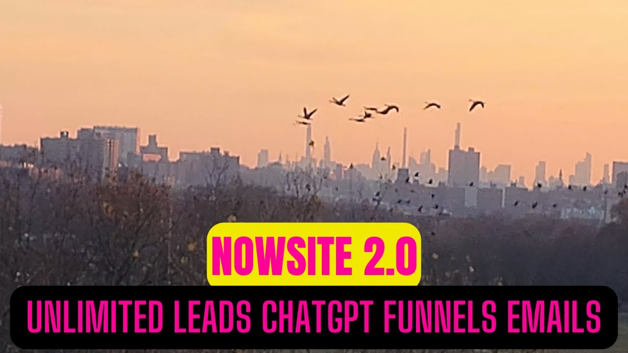 Nowsite - New Account Setup - Unlimited Leads & Personal  Assistants