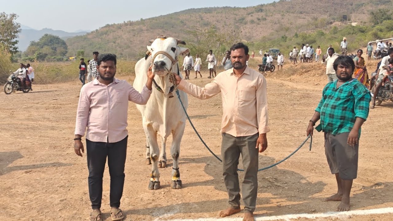 ఒంటిమిట్ట సీనియర్స్ విభాగానికి 1 వ జత