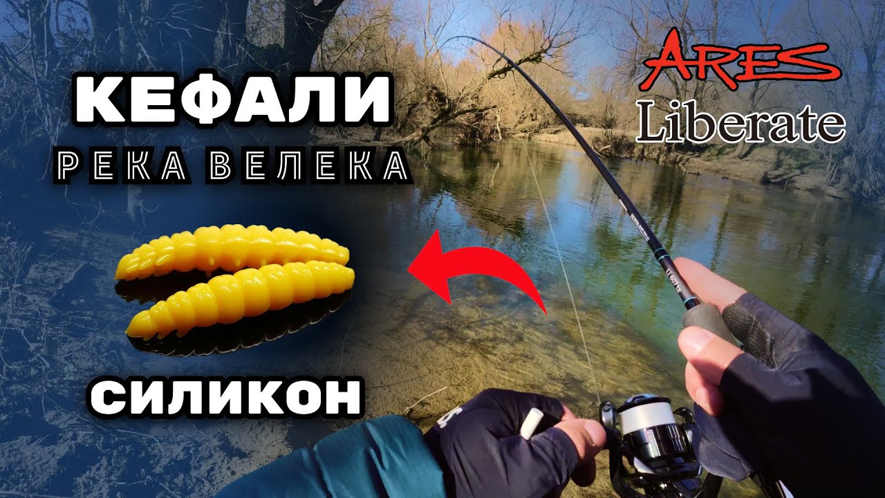 Риболов на Велека: Как да накараш рибата да кълве, когато игнорира всичко?
