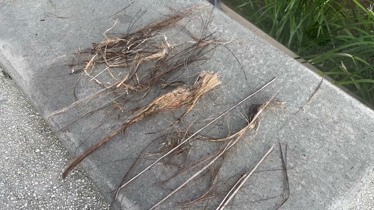 Fibre Processing- How to extract fibre from a fibre crop?