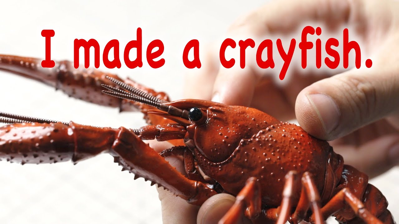 I made a crayfish model.