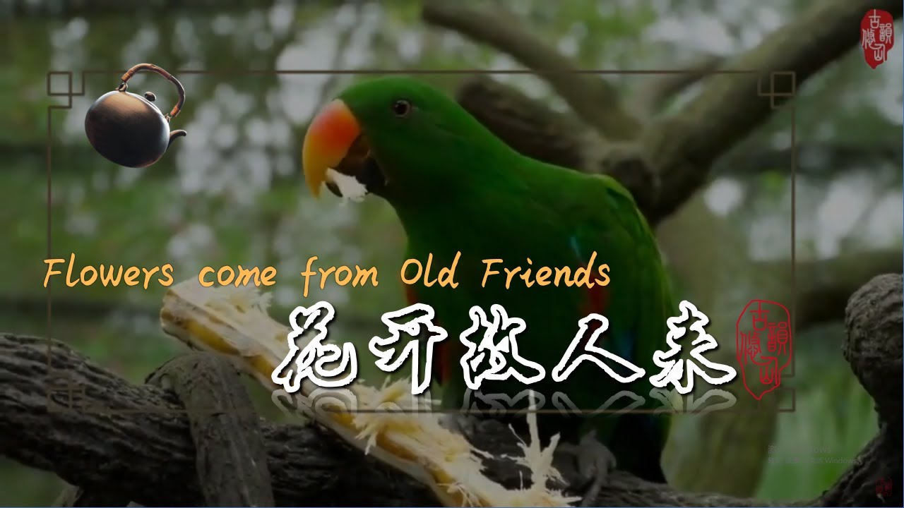 疗愈音乐《花开故人来》疏肝理气，解忧除烦  Healing music 