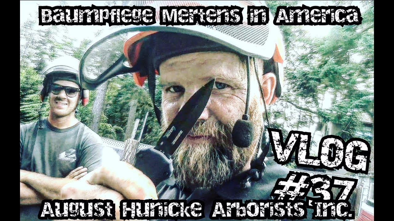 Baumpflege Mertens In America