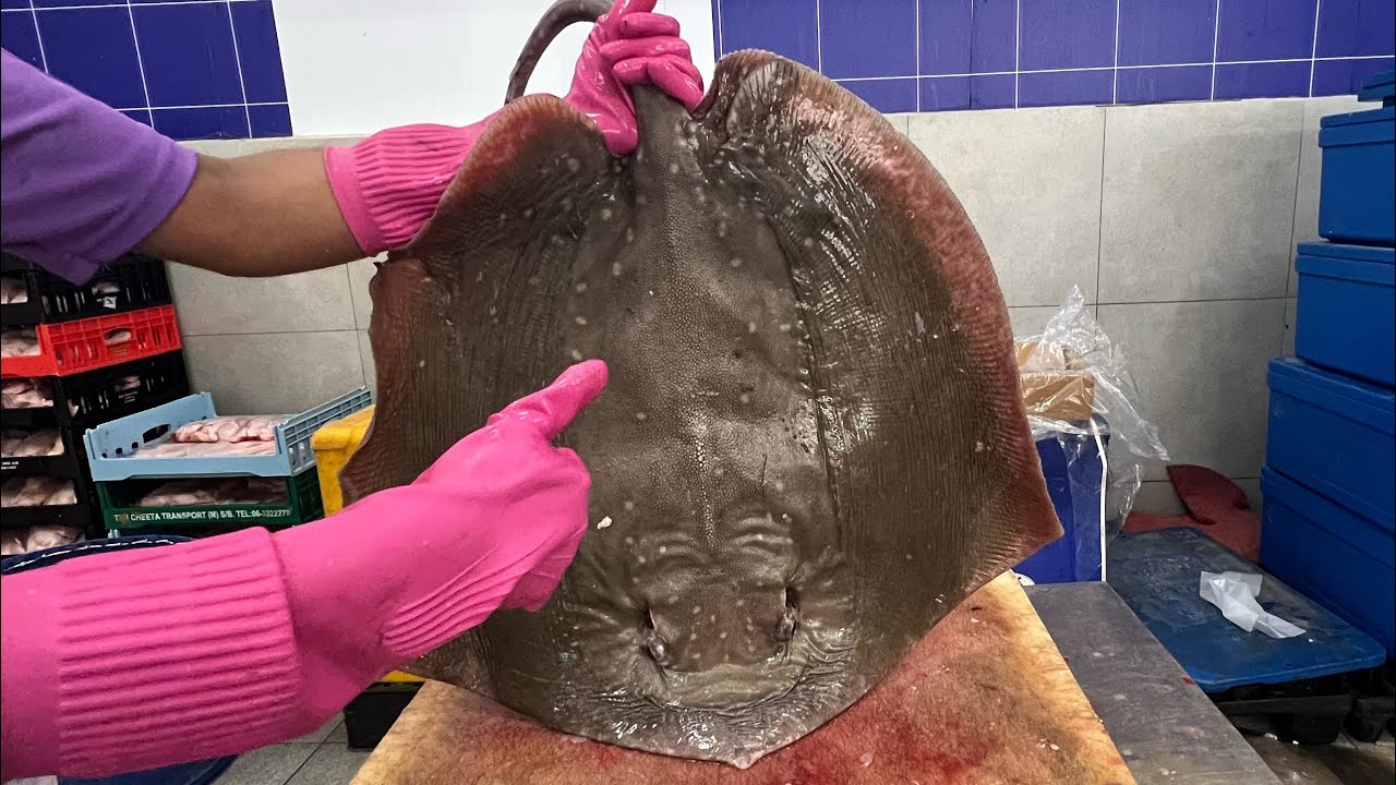 Amazing stingray(pari ) fish cutting skills 