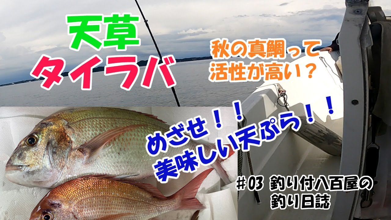 【タイラバ】久しぶりに天草湯島・鬼池で釣ってみた！！