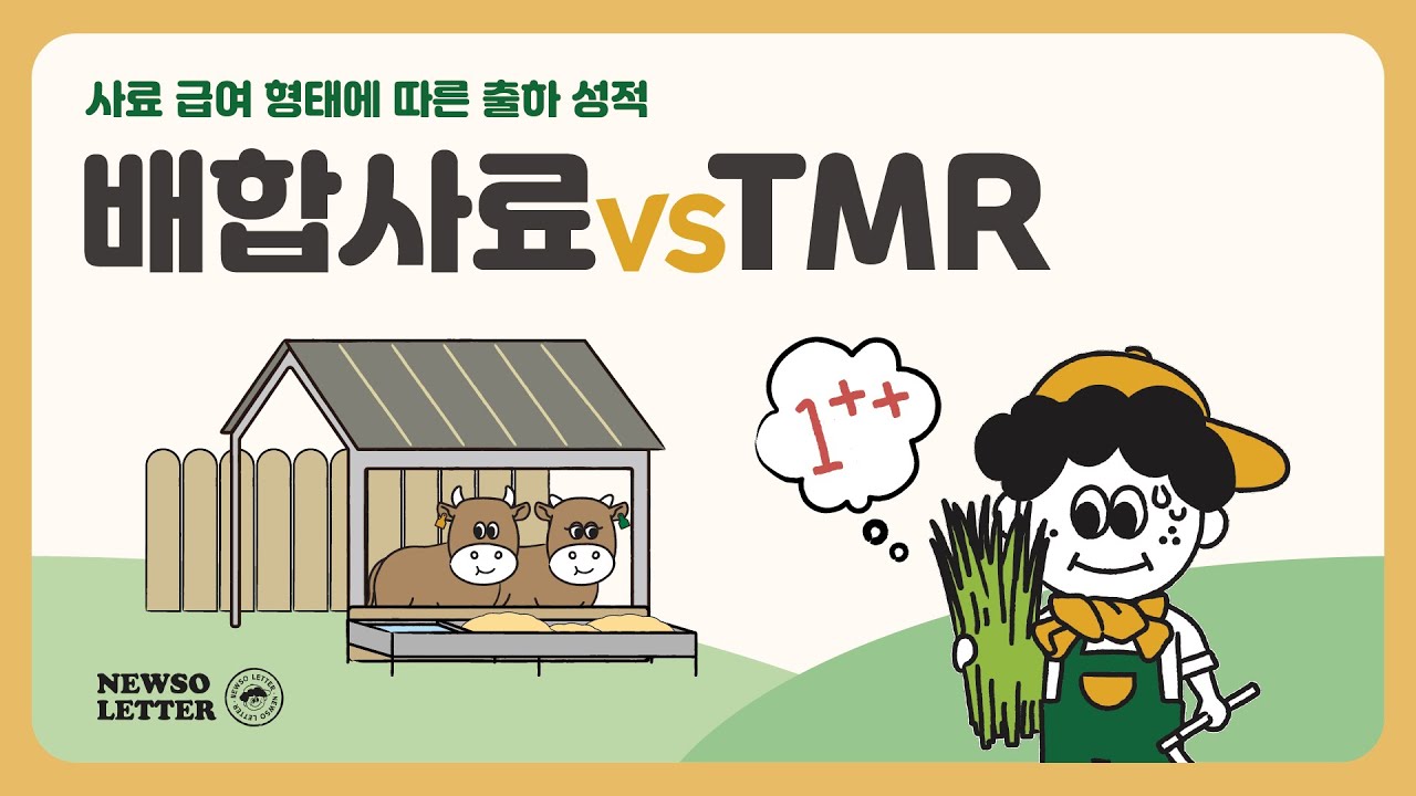 쪼니의 1분한우지식 | 배합사료 vs TMR