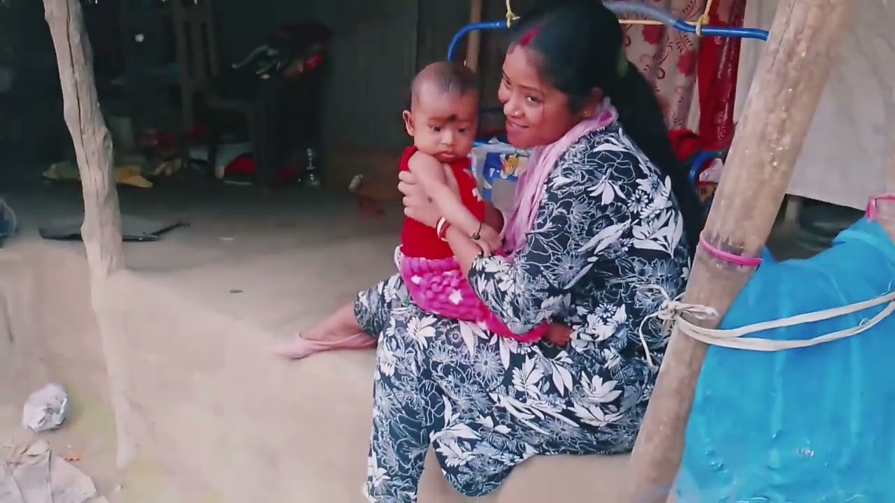 আজকে আমাদের কূল গাছ থেকে সব কূল পেরে নিলাম।