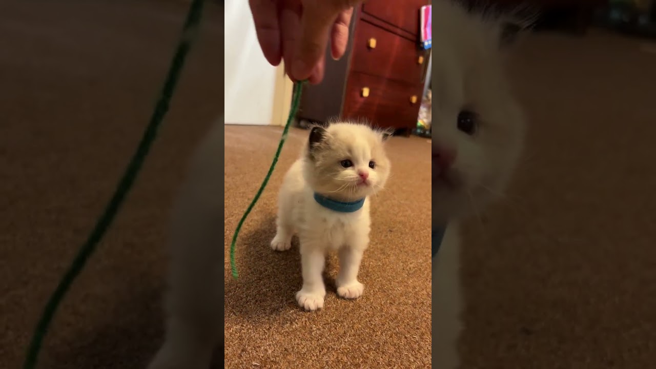 Cloud cuteness!