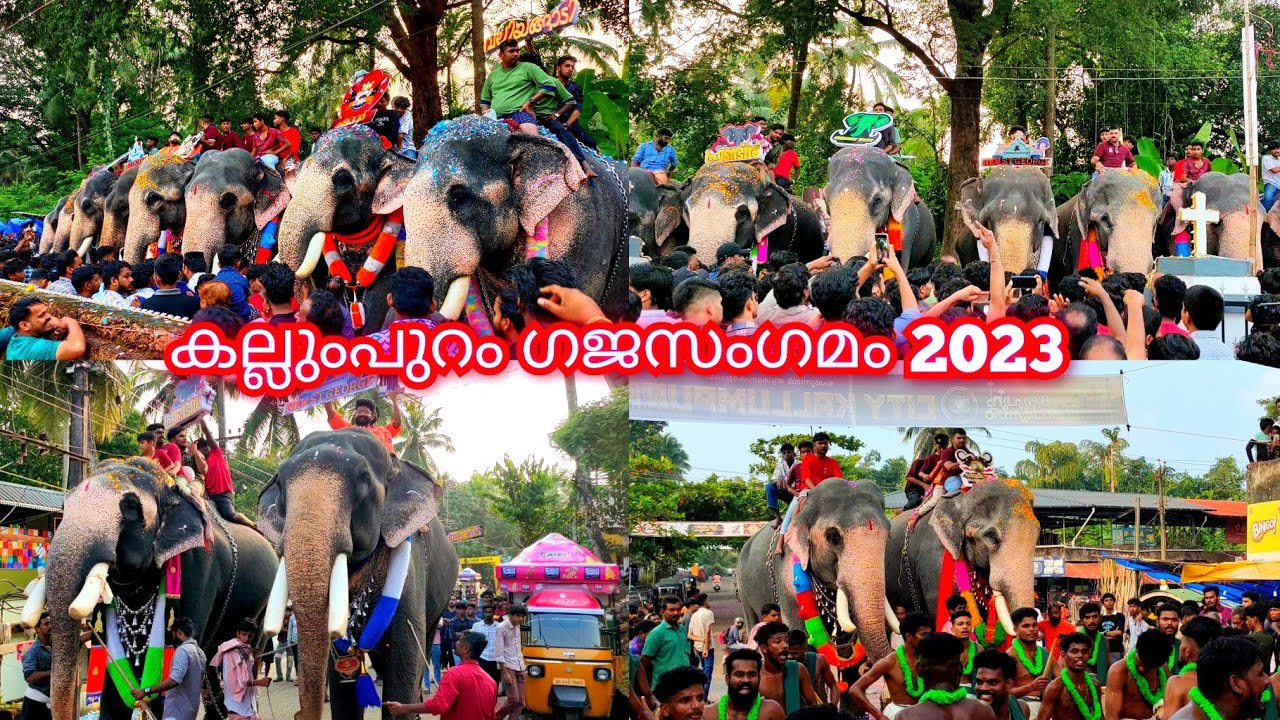 കല്ലുംപുറം ഗജസംഗമം 2023 || Kallumpuram Gajasangamam 2023