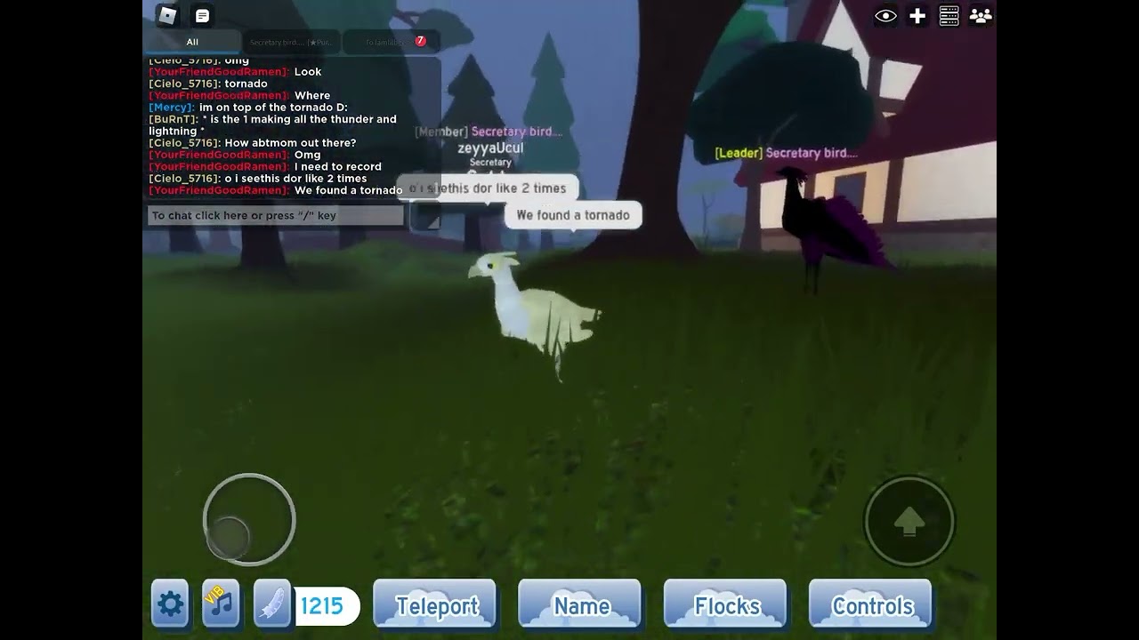 Tornado in feather family