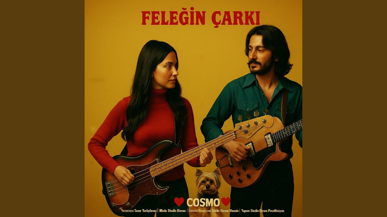 Feleğin Çarkı