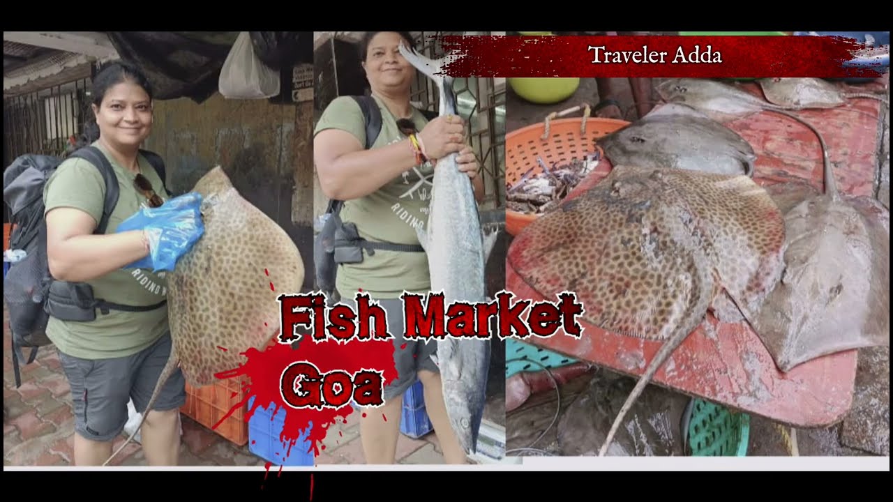 Have You been in a Fish Market in Goa। Local Fish Market Panjim Goa। North Goa। Traveler Adda
