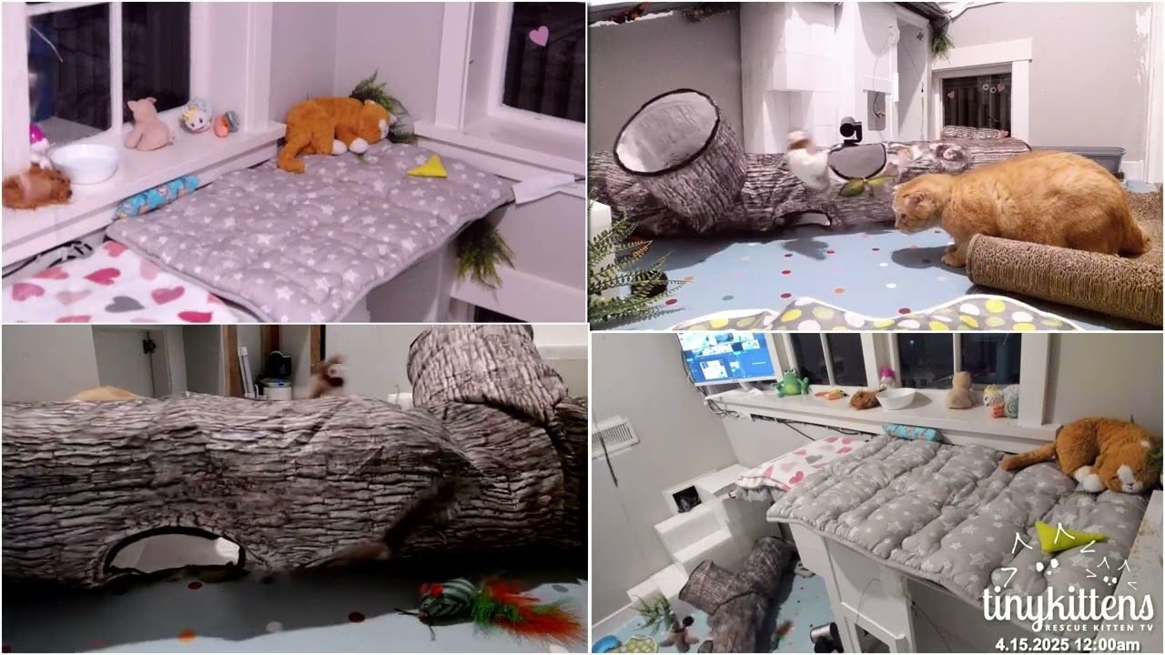 More log fun! Apr 14 2025