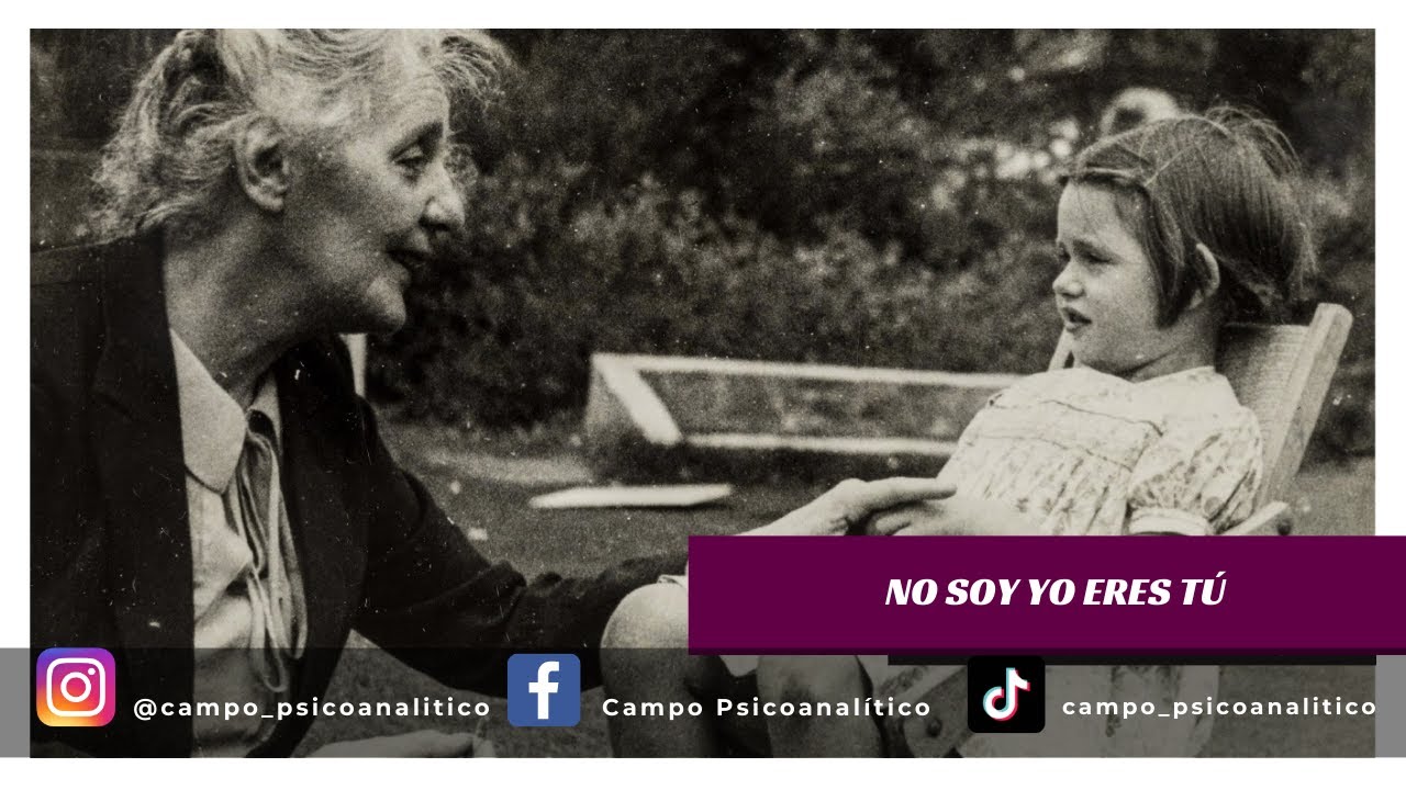 La Identificaci&oacute;n Proyectiva