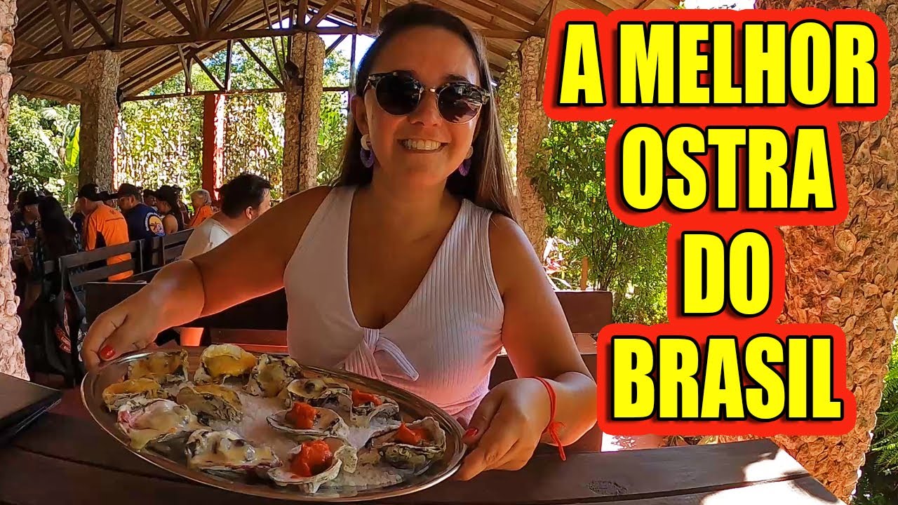 CABARAQUARA - CANTINHO LINDO DE GUARATUBA (PR) ONDE É POSSÍVEL COMER A MELHOR OSTRA DO BRASIL #Vlog