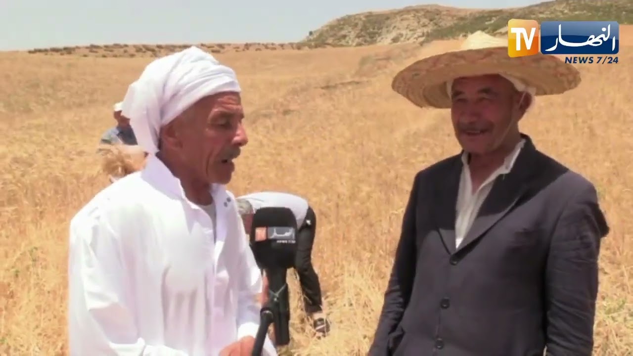 سوق أهراس : منجل تقليدي و ترحاب بدوي يستهويان كبار السن